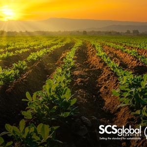 Regenerative Agriculture's Critical Role in Stabilizing Our Climate 