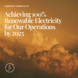 Text that reads "Achieving 100% renewable electricity for our operations by 2025" with a background of clouds