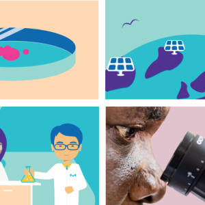 Four quadrants showing artistic representations of a Petri dish, solar panels, scientists in a lab, and a person looking into a microscope, respectively