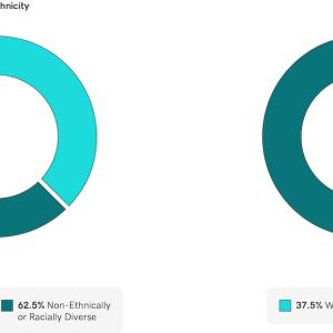 Charts showing Board of Directors Diversity.