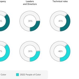 Chart comparing race diversity for 2023 and 2022.