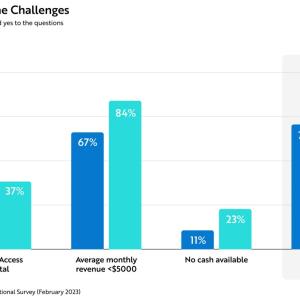 Rising Above the Challenges graph.
