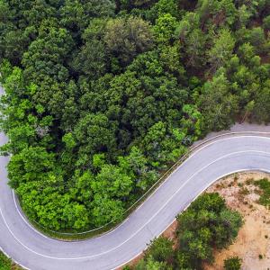 A road running through trees
