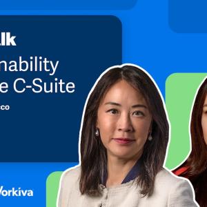 ESG Talk: Sustainability and the C-Suite with Ayn Kiy-Morrocco and Amelia Pan.