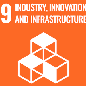SDG 9: Industry, Innovation and Infrastructure.