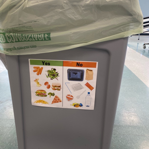 Food waste bucket