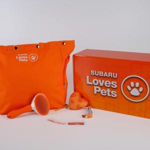 Orange Pet Parent kits