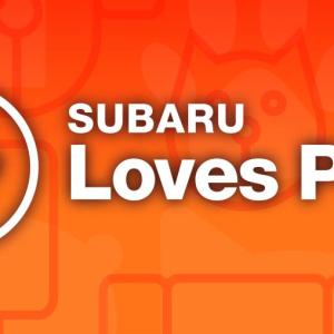 Subaru Loves Pets Logo