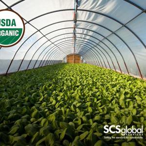 SOE Organic Fraud Prevention – What Every Business Needs to Know 