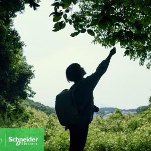 A person reaching up towards a tree branch 