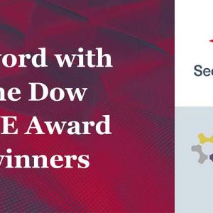 A word with the Dow SWE Award winners
