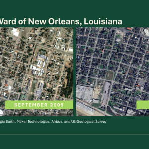 Satellite imagery compares the tree canopy of the Lower Ninth Ward of New Orleans immediately after Hurricane Katrina in 2005 (left) to now (right).