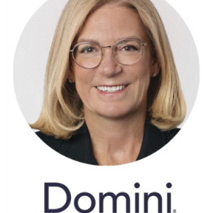 Carole Laible, Domini Impact Impacts
