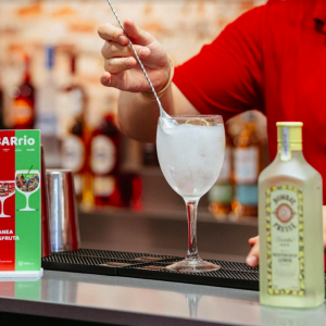 Bartender mixing a drink