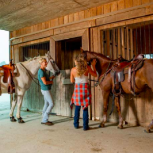 Two women with horses at the stable.