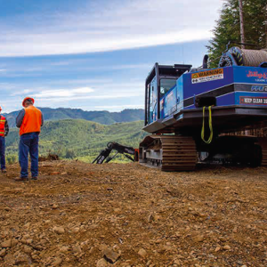 three workers and a truck on a plot of cleared forest