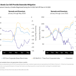Green Bonds Can Still Provide Downside Mitigation
