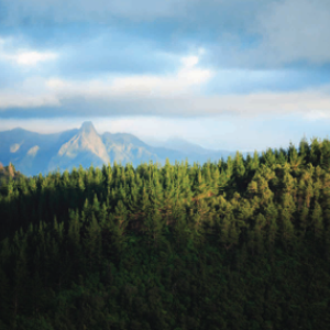 Mountain view with clouds