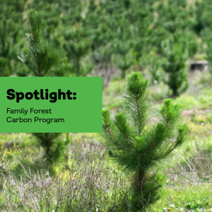Young saplings with the text "Spotlight: Family Forest Carbon Program" superimposed