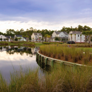 a suburban residential area along a wetlands area