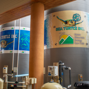 Two large water silos, connecting plumbing tubes