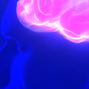 Illustration of human brain