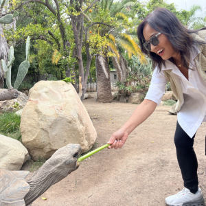 Cascale CEO at Turtle Sanctuary