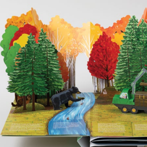 model river and forest