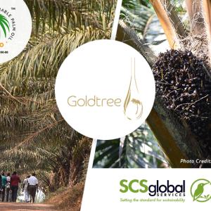 images of trees and logos for Goldtree, SCS Global, and RSPO