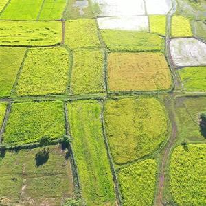 Tetra Tech supports Water Farmer User Communities in central Cambodia to maintain irrigation canals.