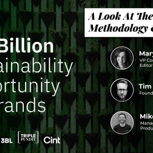 Webinar cover with the text "The $44 Billion Sustainability Opportunity for Brands"