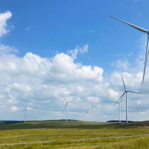 Wind turbines in a field 