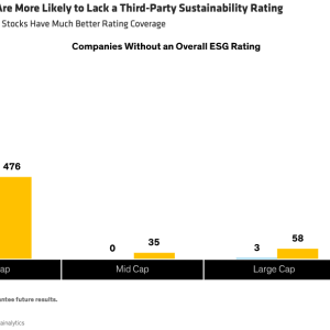Small-Cap Stocks Are More Likely to Lack a Third-Party Sustainability Rating
