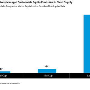 Small-Cap Actively Managed Sustainable Equity Funds Are in Short Supply