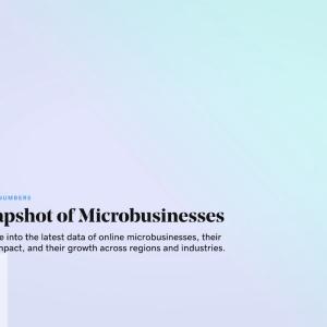GoDaddy: A Snapshot of microbusinesses.