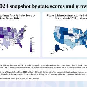 Maps showing a 2024 snapshot of state scores and growth.