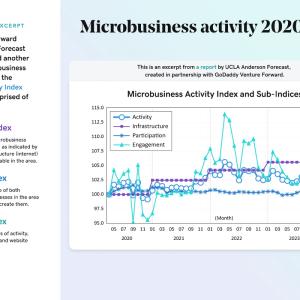 Graph showing microbusiness activity: 2020 - 2024.