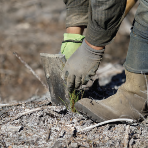 close up of the soil on the ground
