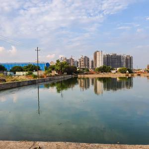 Pond in India after being cleaned