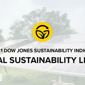 Global Sustainability Leader logo