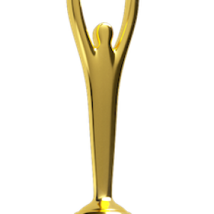 2023 Stevie Gold Award Sales and Customer Service