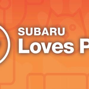 Subaru Loves Pets logo