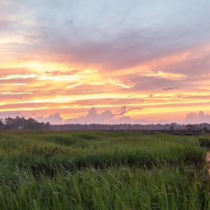 Sunset over a wetland