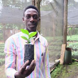 person holding a sprouting plant in a netted greenhouse full of rows of other sprouting plants