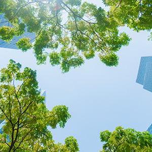 A New Problem in the Sustainability Landscape: Green Hushing