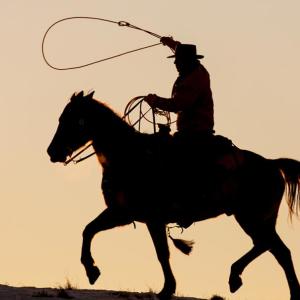 Rider on horse with lasso