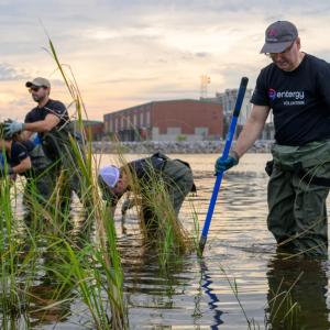 Volunteers working in marsh