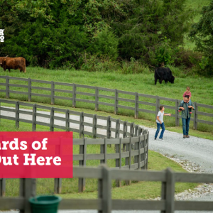 Parent walking with two kids down a road on a farm. Reads " Stewards of Life Out Here. 2021 Sustainability Report"