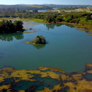 Aerial view of a wetland area