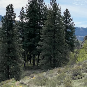 Sustainable Land Trust